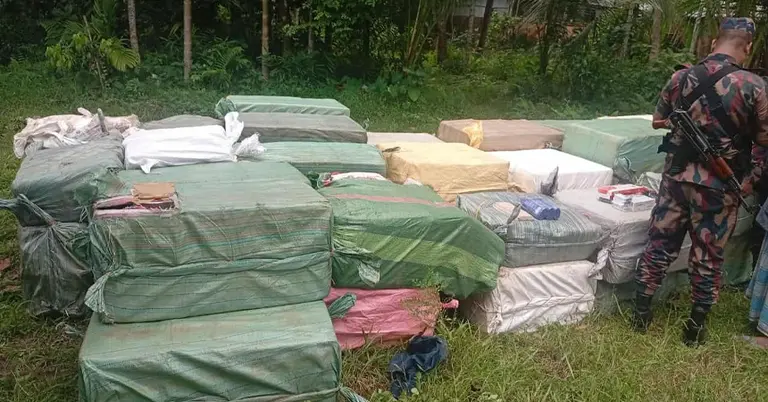 ভারতীয় অবৈধ পণ্য জব্দ